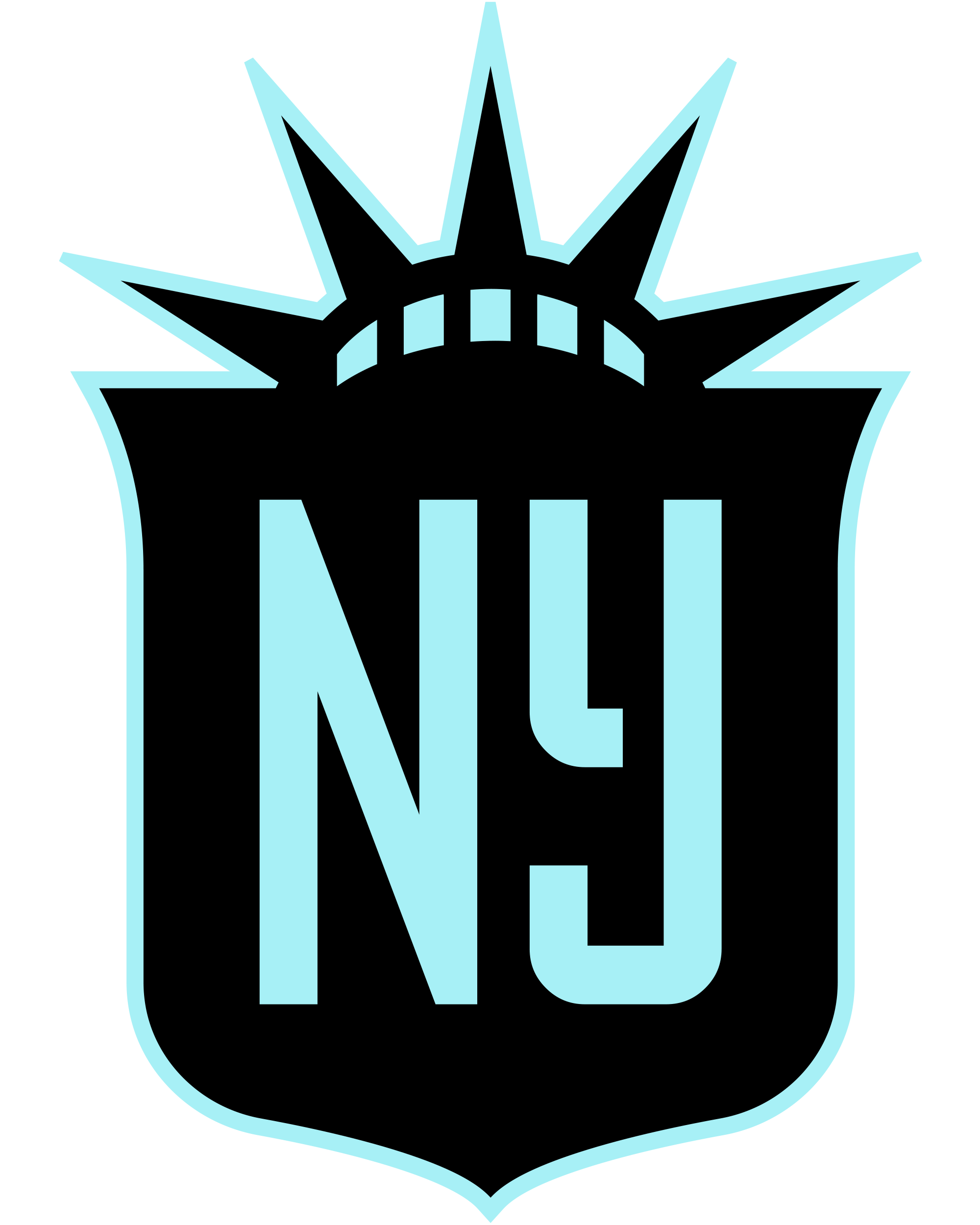 NJ/NY Gotham FC site address